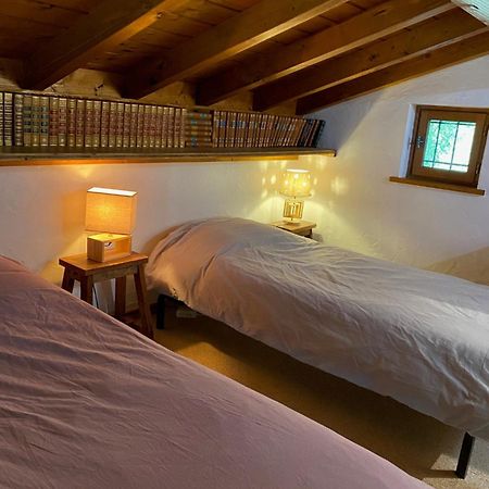 Chalet Erminea شامونكس المظهر الخارجي الصورة
